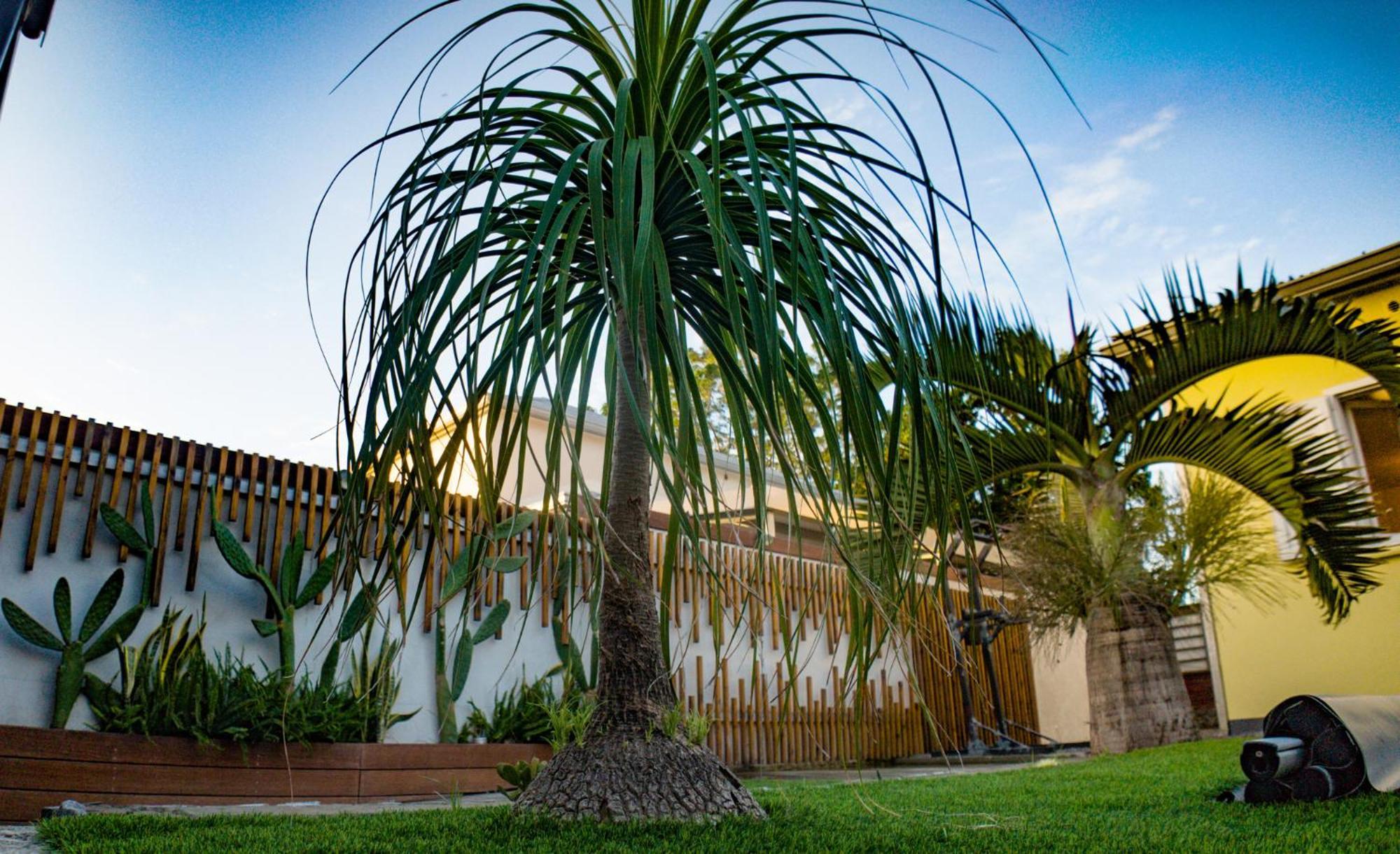 Villa Osao Panahy Le Patelin Esterno foto